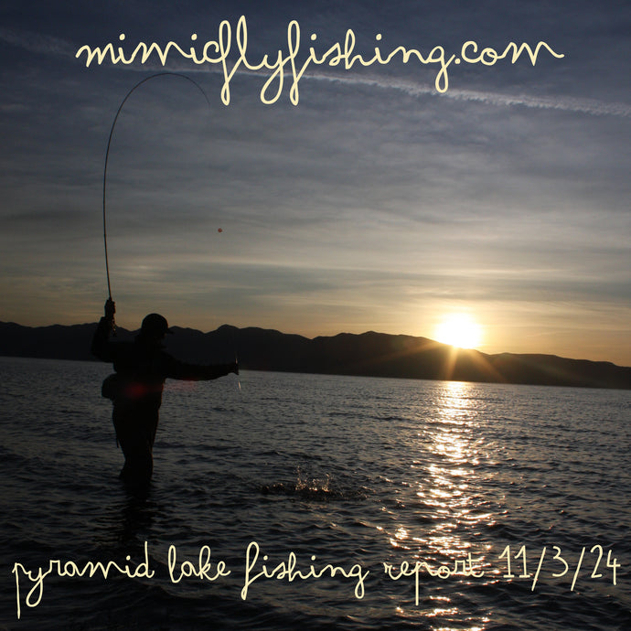 Pyramid Lake Fishing Report - 11/3/24