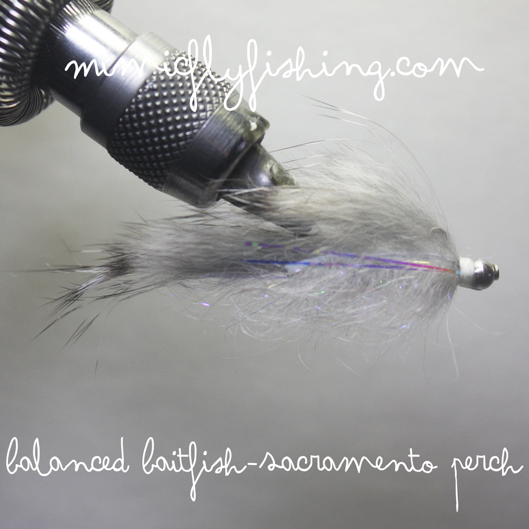 Balanced Baitfish - Sacramento Perch