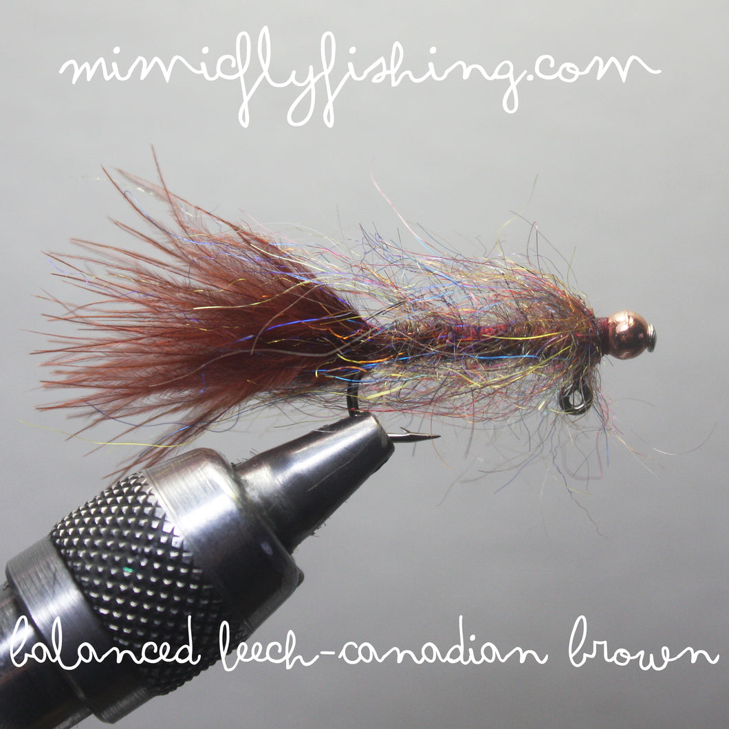 Balanced Leech - Canadian Brown